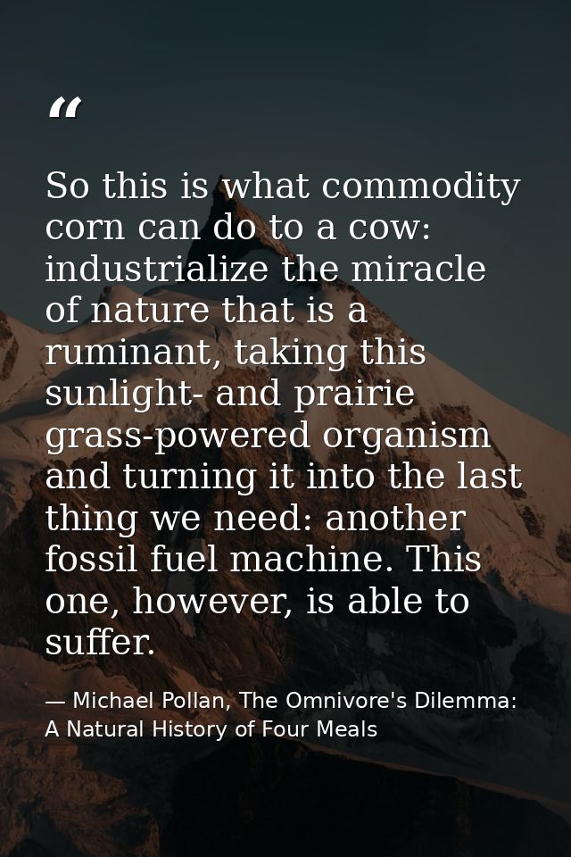 So this is what commodity corn can do to a cow: industrialize the miracle of nature that is a ruminant, taking this sunl — Michael Pollan, The Omnivore's Dilemma: A Natural History of Four Meals