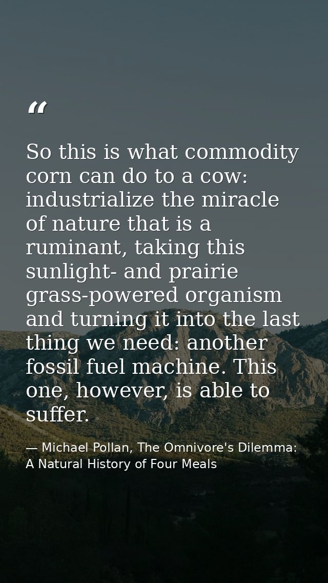 So this is what commodity corn can do to a cow: industrialize the miracle of nature that is a ruminant, taking this sunl — Michael Pollan, The Omnivore's Dilemma: A Natural History of Four Meals