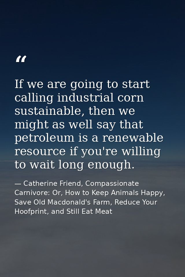 If we are going to start calling industrial corn sustainable, then we might as well say that petroleum is a renewable re — Catherine Friend, Compassionate Carnivore: Or, How to Keep Animals Happy, Save Old Macdonald's Farm, Reduce Your Hoofprint, and Still Eat Meat