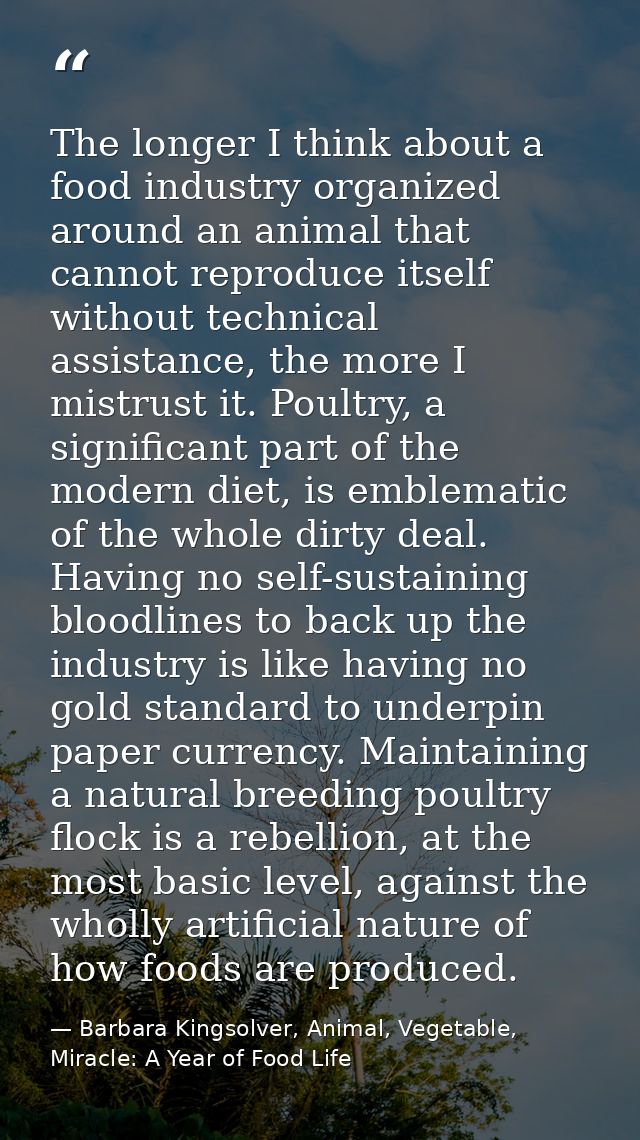 The longer I think about a food industry organized around an animal that cannot reproduce itself without technical assis — Barbara Kingsolver, Animal, Vegetable, Miracle: A Year of Food Life