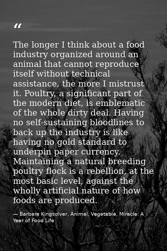 The longer I think about a food industry organized around an animal that cannot reproduce itself without technical assis — Barbara Kingsolver, Animal, Vegetable, Miracle: A Year of Food Life