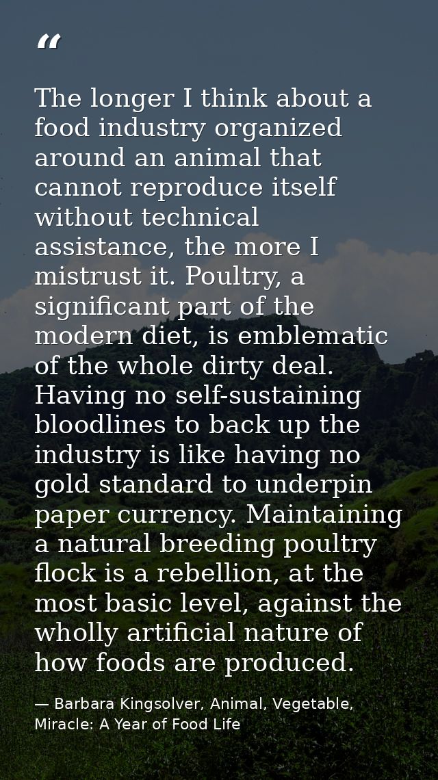 The longer I think about a food industry organized around an animal that cannot reproduce itself without technical assis — Barbara Kingsolver, Animal, Vegetable, Miracle: A Year of Food Life