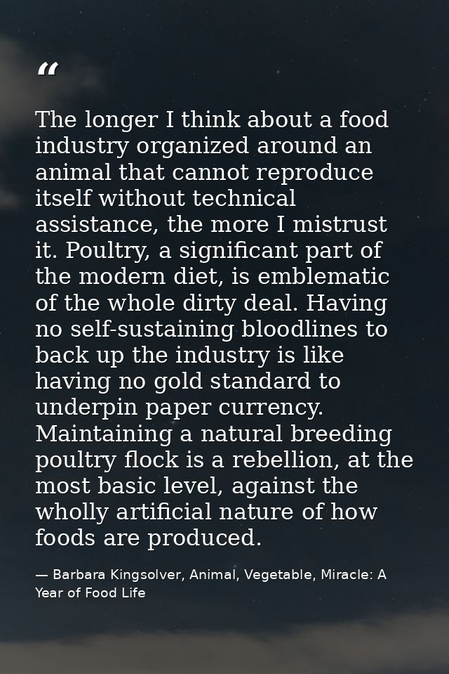 The longer I think about a food industry organized around an animal that cannot reproduce itself without technical assis — Barbara Kingsolver, Animal, Vegetable, Miracle: A Year of Food Life