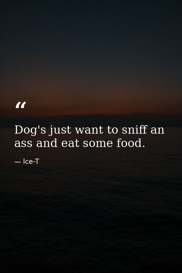 Dog's just want to sniff an ass and eat some food. — Ice-T