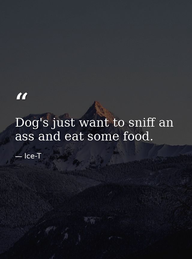 Dog's just want to sniff an ass and eat some food. — Ice-T