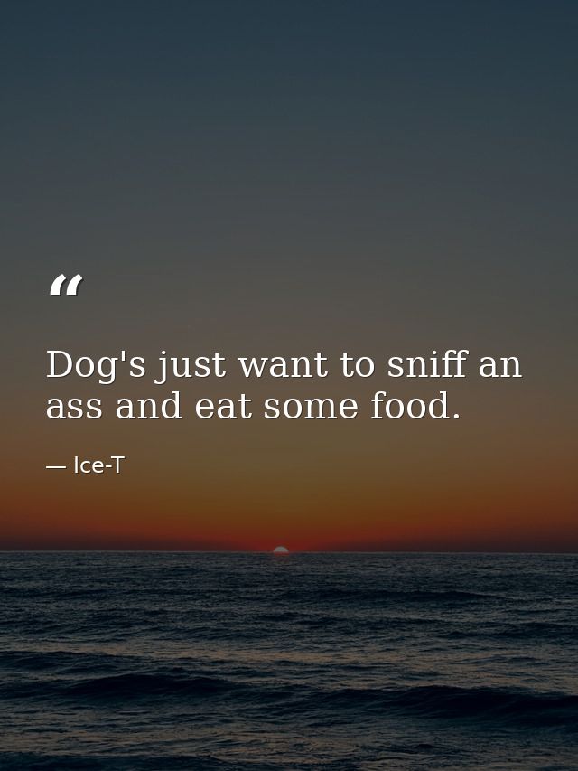 Dog's just want to sniff an ass and eat some food. — Ice-T