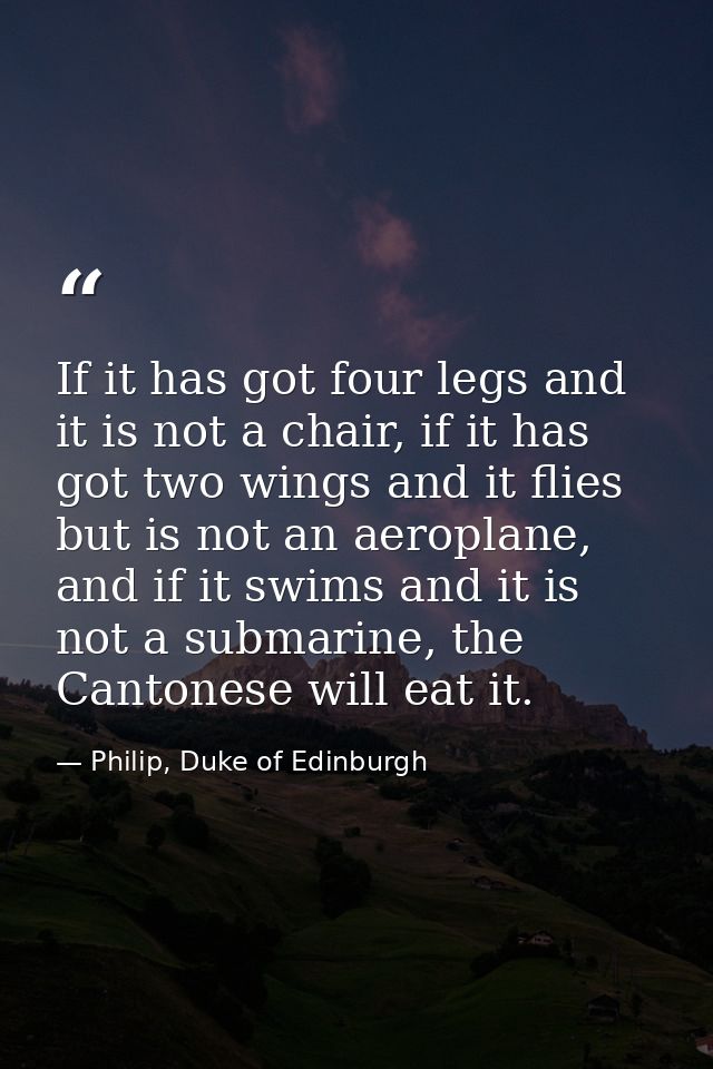 If it has got four legs and it is not a chair, if it has got two wings and it flies but is not an aeroplane, and if it s — Philip, Duke of Edinburgh