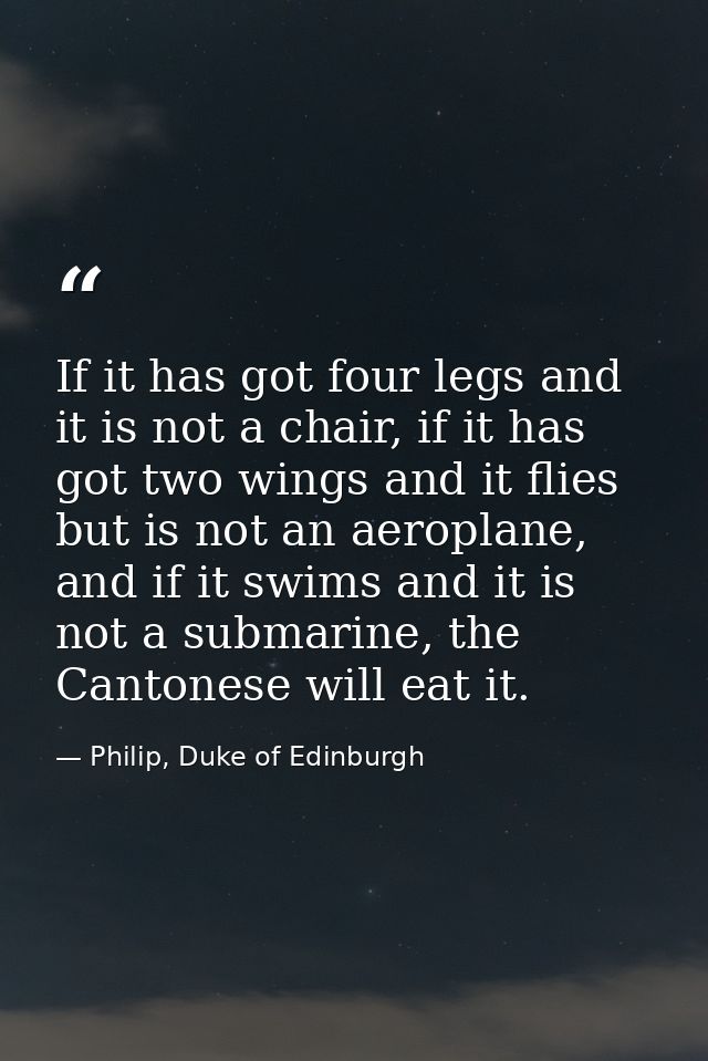 If it has got four legs and it is not a chair, if it has got two wings and it flies but is not an aeroplane, and if it s — Philip, Duke of Edinburgh