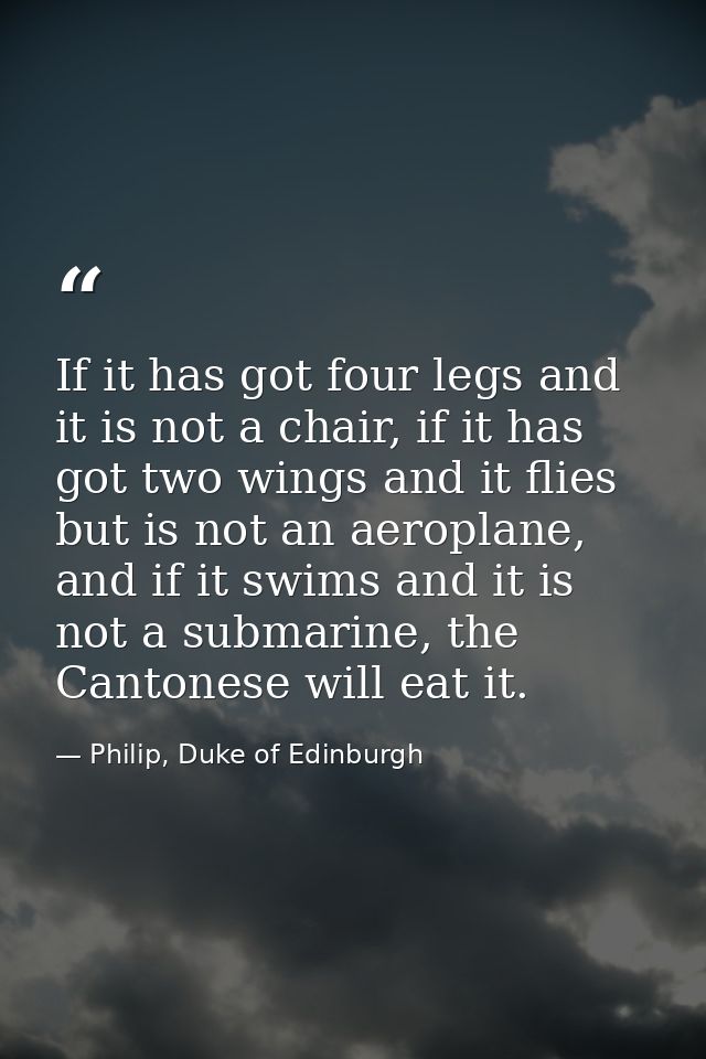 If it has got four legs and it is not a chair, if it has got two wings and it flies but is not an aeroplane, and if it s — Philip, Duke of Edinburgh
