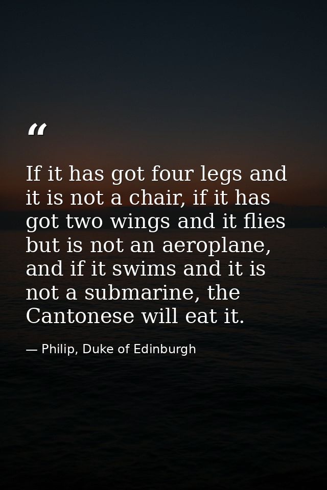 If it has got four legs and it is not a chair, if it has got two wings and it flies but is not an aeroplane, and if it s — Philip, Duke of Edinburgh