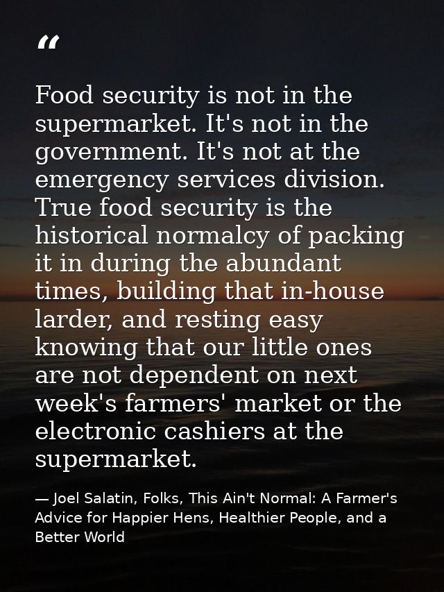 Food security is not in the supermarket. It's not in the government. It's not at the emergency services division. True f — Joel Salatin, Folks, This Ain't Normal: A Farmer's Advice for Happier Hens, Healthier People, and a Better World