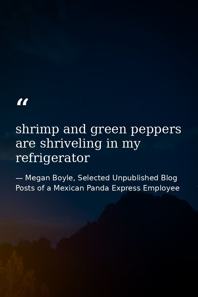 shrimp and green peppers are shriveling in my refrigerator — Megan Boyle, Selected Unpublished Blog Posts of a Mexican Panda Express Employee