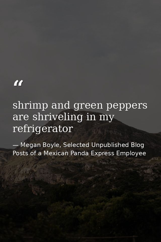 shrimp and green peppers are shriveling in my refrigerator — Megan Boyle, Selected Unpublished Blog Posts of a Mexican Panda Express Employee