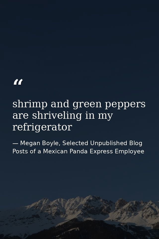 shrimp and green peppers are shriveling in my refrigerator — Megan Boyle, Selected Unpublished Blog Posts of a Mexican Panda Express Employee