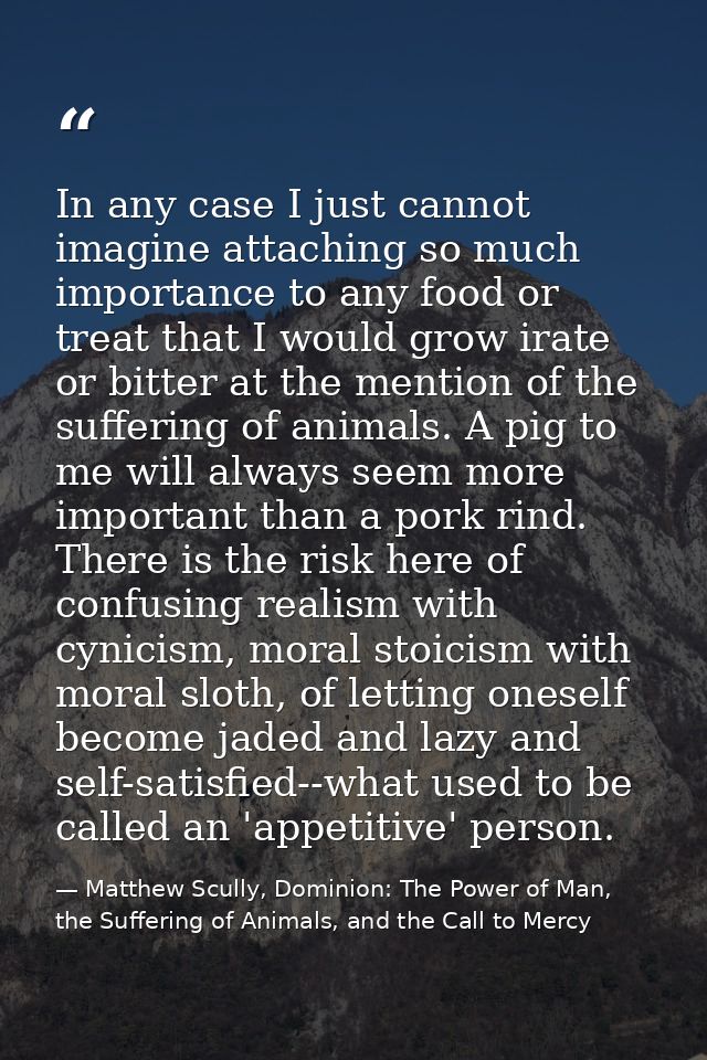 In any case I just cannot imagine attaching so much importance to any food or treat that I would grow irate or bitter at — Matthew Scully, Dominion: The Power of Man, the Suffering of Animals, and the Call to Mercy