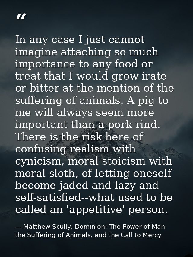 In any case I just cannot imagine attaching so much importance to any food or treat that I would grow irate or bitter at — Matthew Scully, Dominion: The Power of Man, the Suffering of Animals, and the Call to Mercy
