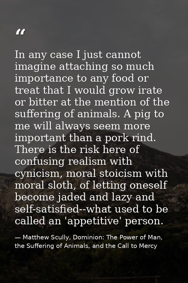 In any case I just cannot imagine attaching so much importance to any food or treat that I would grow irate or bitter at — Matthew Scully, Dominion: The Power of Man, the Suffering of Animals, and the Call to Mercy