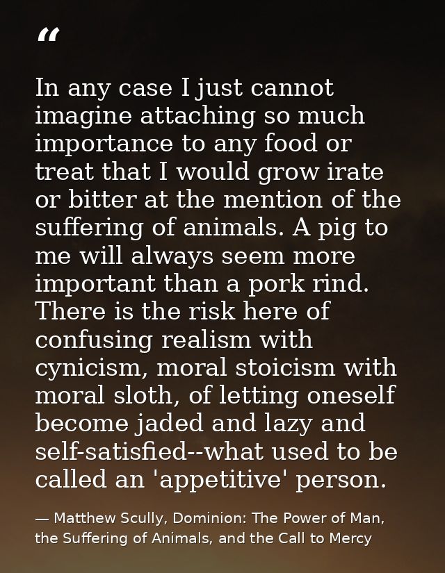 In any case I just cannot imagine attaching so much importance to any food or treat that I would grow irate or bitter at — Matthew Scully, Dominion: The Power of Man, the Suffering of Animals, and the Call to Mercy