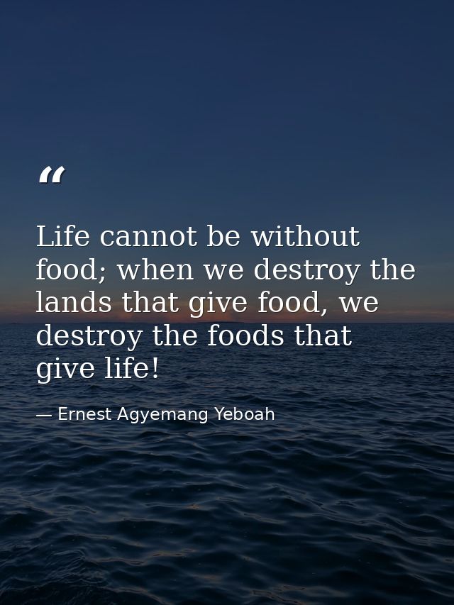 Life cannot be without food; when we destroy the lands that give food, we destroy the foods that give life! — Ernest Agyemang Yeboah