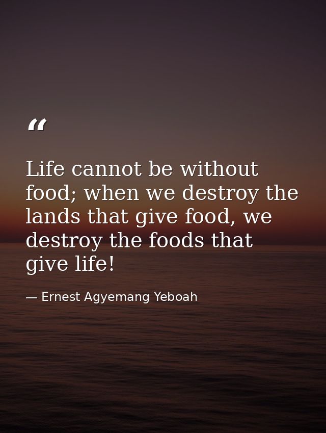 Life cannot be without food; when we destroy the lands that give food, we destroy the foods that give life! — Ernest Agyemang Yeboah