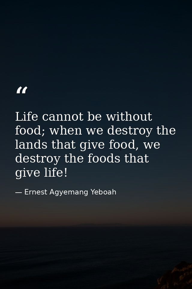 Life cannot be without food; when we destroy the lands that give food, we destroy the foods that give life! — Ernest Agyemang Yeboah