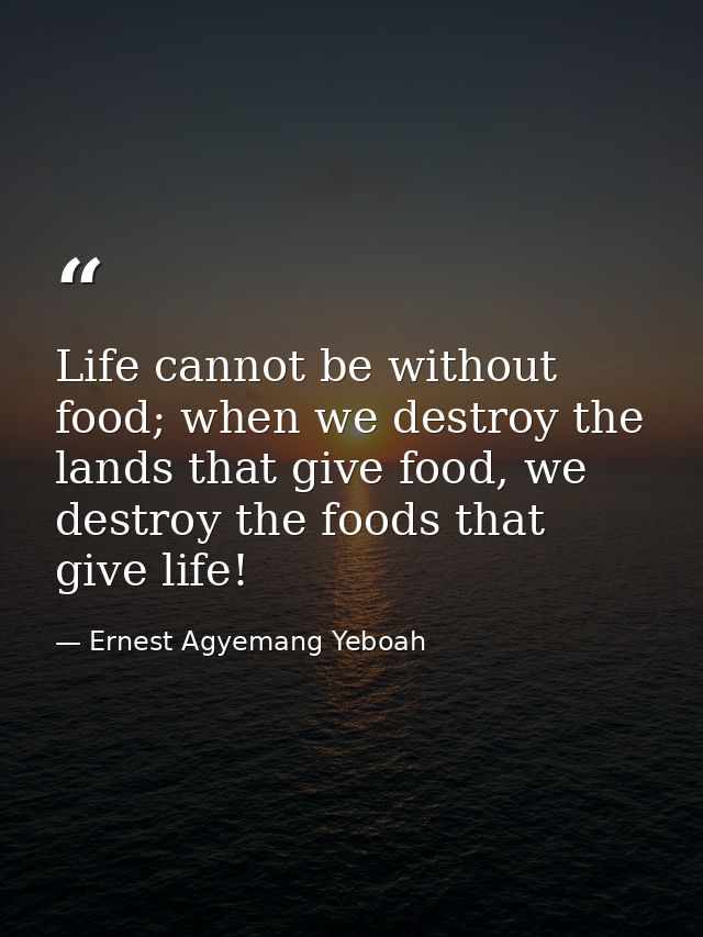 Life cannot be without food; when we destroy the lands that give food, we destroy the foods that give life! — Ernest Agyemang Yeboah
