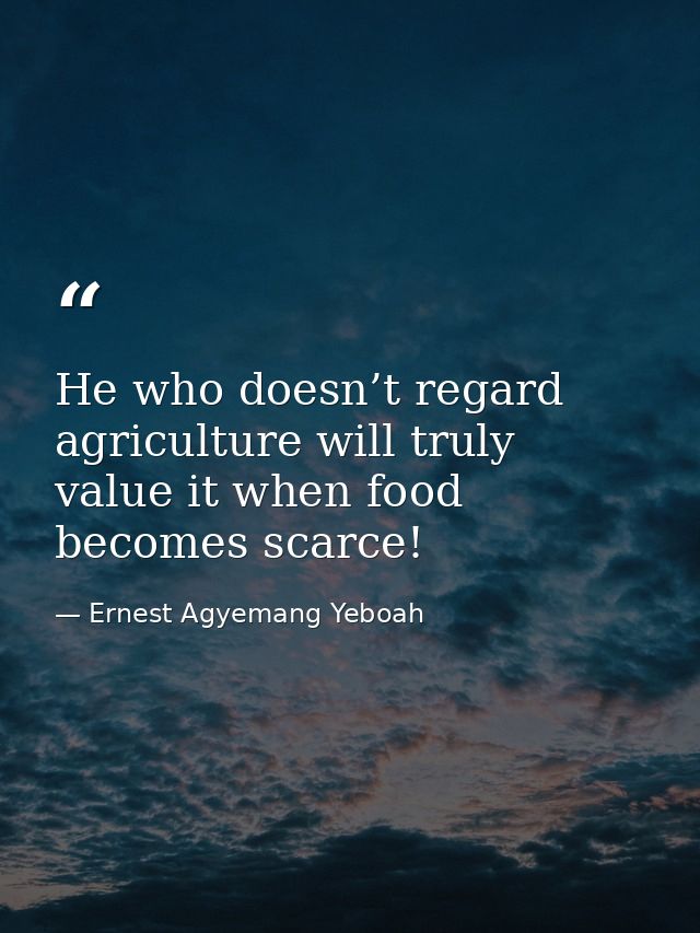 He who doesn’t regard agriculture will truly value it when food becomes scarce! — Ernest Agyemang Yeboah