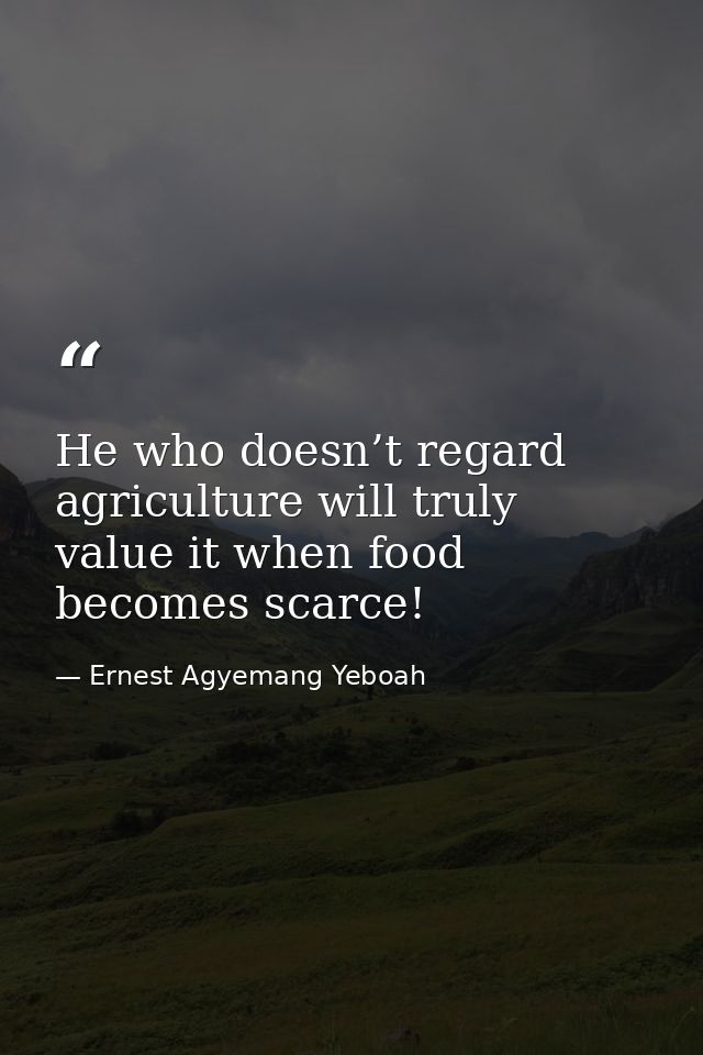 He who doesn’t regard agriculture will truly value it when food becomes scarce! — Ernest Agyemang Yeboah