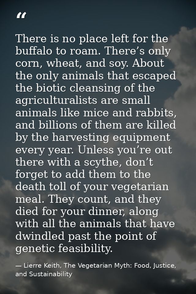 There is no place left for the buffalo to roam. There’s only corn, wheat, and soy. About the only animals that escaped t — Lierre Keith, The Vegetarian Myth: Food, Justice, and Sustainability
