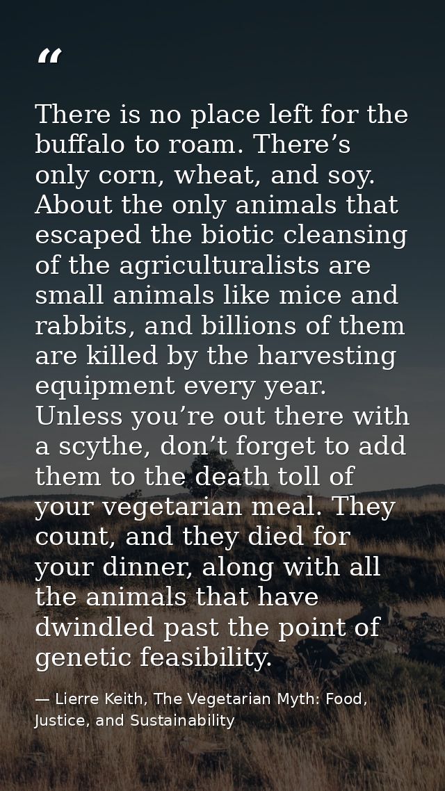 There is no place left for the buffalo to roam. There’s only corn, wheat, and soy. About the only animals that escaped t — Lierre Keith, The Vegetarian Myth: Food, Justice, and Sustainability