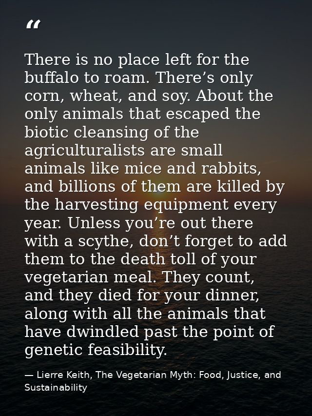 There is no place left for the buffalo to roam. There’s only corn, wheat, and soy. About the only animals that escaped t — Lierre Keith, The Vegetarian Myth: Food, Justice, and Sustainability