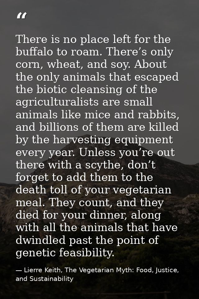 There is no place left for the buffalo to roam. There’s only corn, wheat, and soy. About the only animals that escaped t — Lierre Keith, The Vegetarian Myth: Food, Justice, and Sustainability