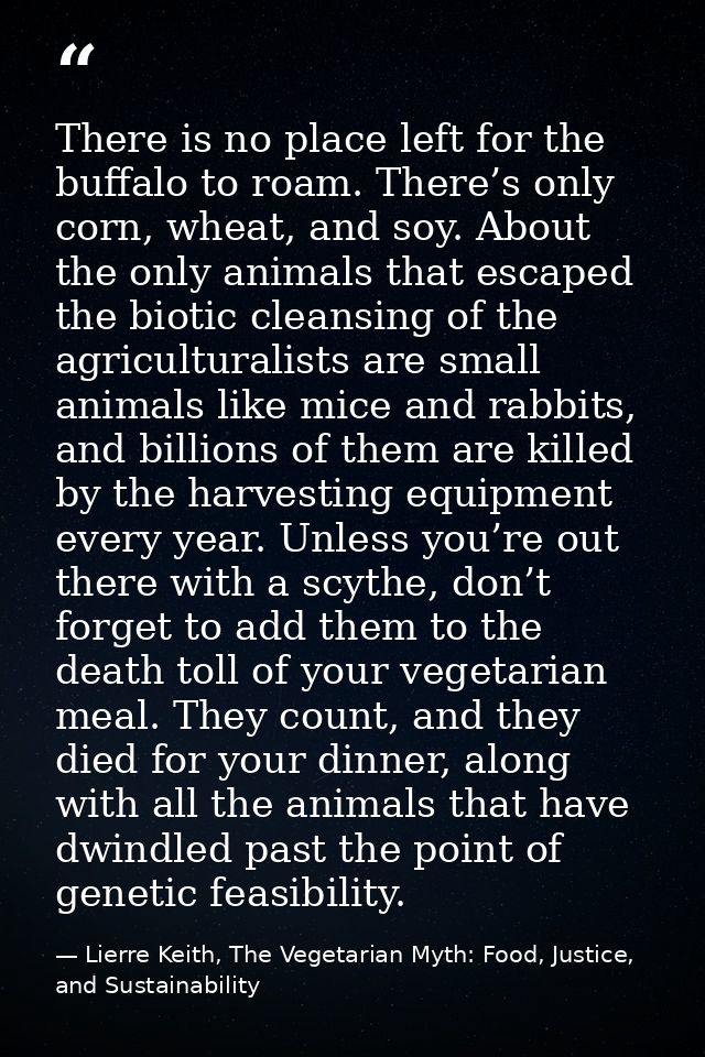 There is no place left for the buffalo to roam. There’s only corn, wheat, and soy. About the only animals that escaped t — Lierre Keith, The Vegetarian Myth: Food, Justice, and Sustainability