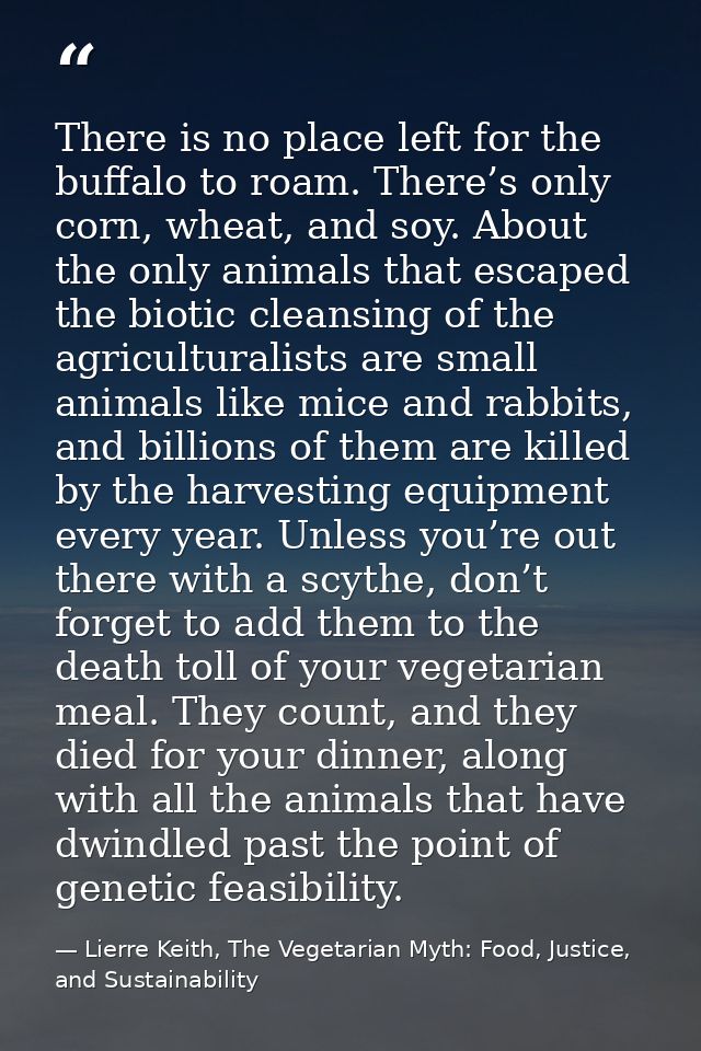 There is no place left for the buffalo to roam. There’s only corn, wheat, and soy. About the only animals that escaped t — Lierre Keith, The Vegetarian Myth: Food, Justice, and Sustainability