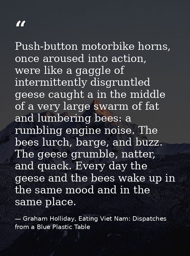 Push-button motorbike horns, once aroused into action, were like a gaggle of intermittently disgruntled geese caught a i — Graham Holliday, Eating Viet Nam: Dispatches from a Blue Plastic Table