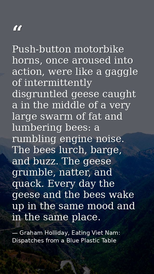 Push-button motorbike horns, once aroused into action, were like a gaggle of intermittently disgruntled geese caught a i — Graham Holliday, Eating Viet Nam: Dispatches from a Blue Plastic Table