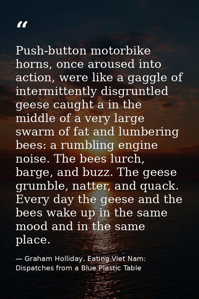 Push-button motorbike horns, once aroused into action, were like a gaggle of intermittently disgruntled geese caught a i — Graham Holliday, Eating Viet Nam: Dispatches from a Blue Plastic Table
