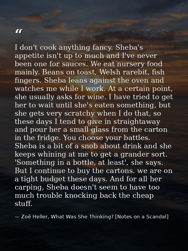 I don't cook anything fancy. Sheba's appetite isn't up to much and I've never been one for sauces. We eat nursery food m — Zoë Heller, What Was She Thinking? [Notes on a Scandal]