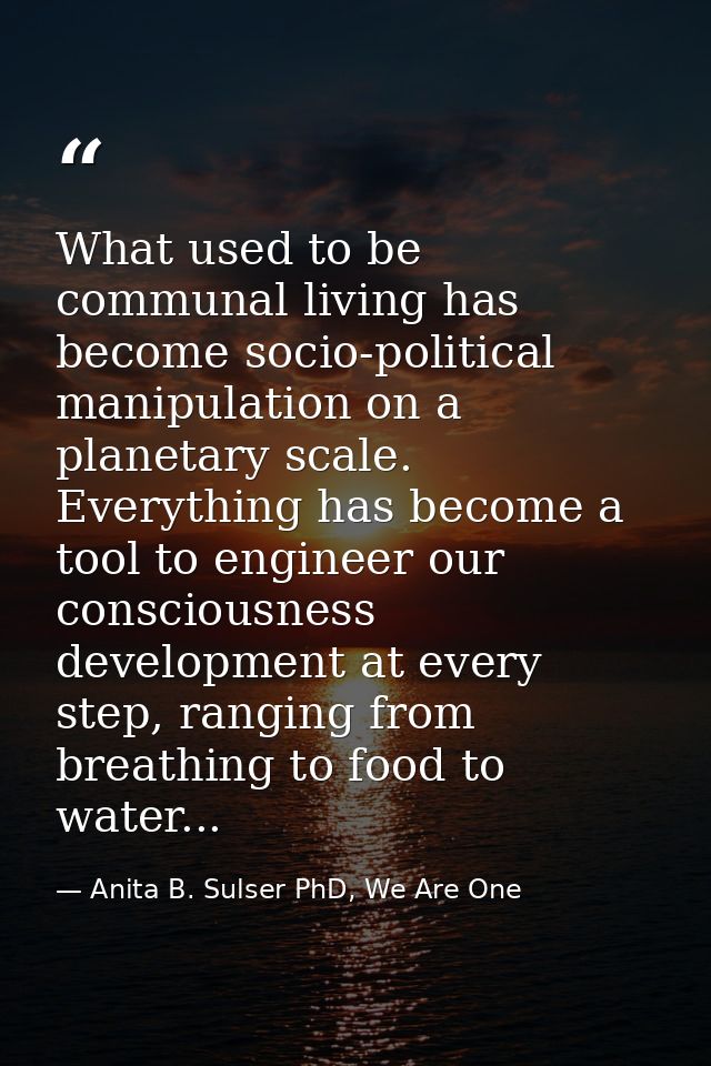 What used to be communal living has become socio-political manipulation on a planetary scale. Everything has become a to — Anita B. Sulser PhD, We Are One