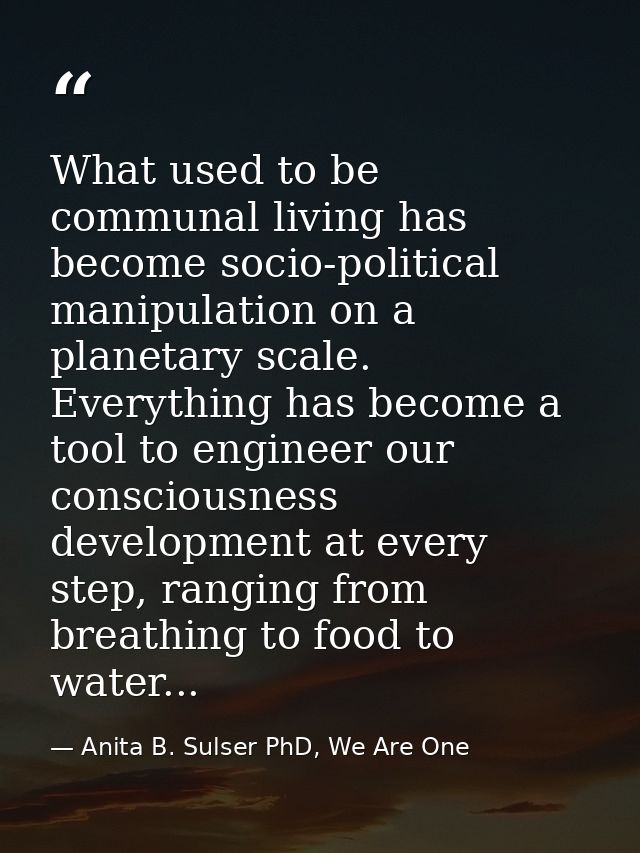 What used to be communal living has become socio-political manipulation on a planetary scale. Everything has become a to — Anita B. Sulser PhD, We Are One