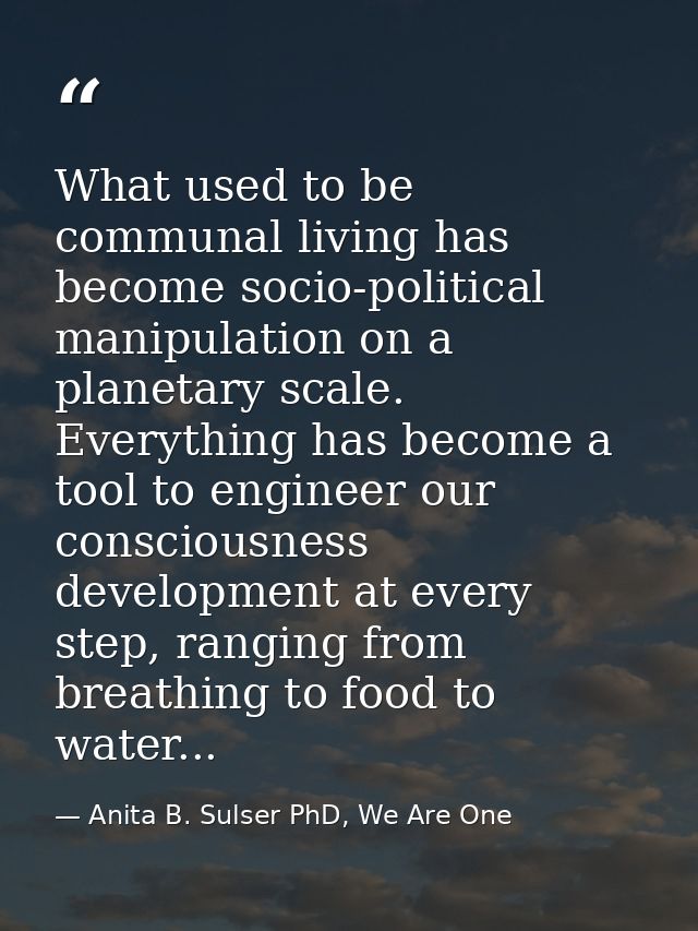 What used to be communal living has become socio-political manipulation on a planetary scale. Everything has become a to — Anita B. Sulser PhD, We Are One