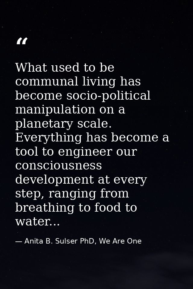 What used to be communal living has become socio-political manipulation on a planetary scale. Everything has become a to — Anita B. Sulser PhD, We Are One