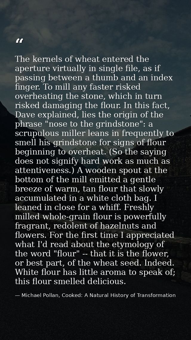 The kernels of wheat entered the aperture virtually in single file, as if passing between a thumb and an index finger. T — Michael Pollan, Cooked: A Natural History of Transformation
