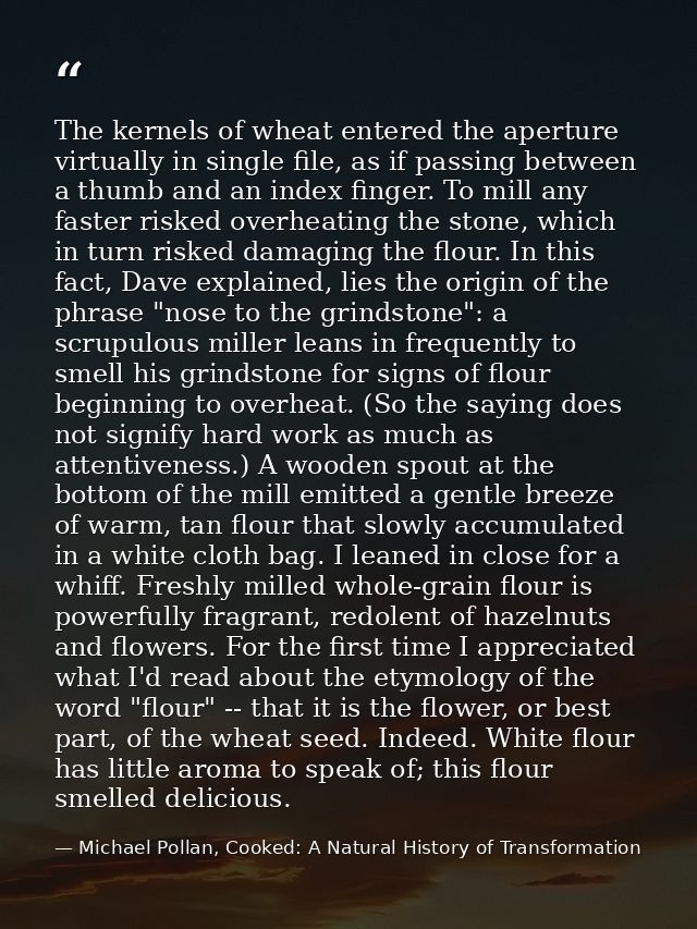 The kernels of wheat entered the aperture virtually in single file, as if passing between a thumb and an index finger. T — Michael Pollan, Cooked: A Natural History of Transformation