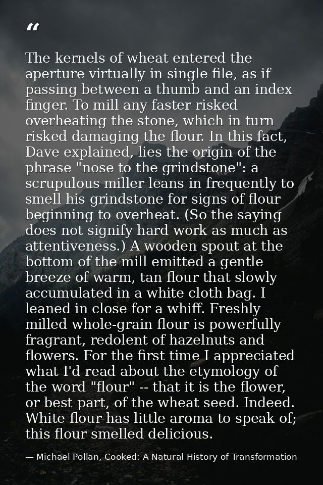 The kernels of wheat entered the aperture virtually in single file, as if passing between a thumb and an index finger. T — Michael Pollan, Cooked: A Natural History of Transformation