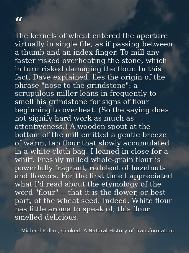 The kernels of wheat entered the aperture virtually in single file, as if passing between a thumb and an index finger. T — Michael Pollan, Cooked: A Natural History of Transformation