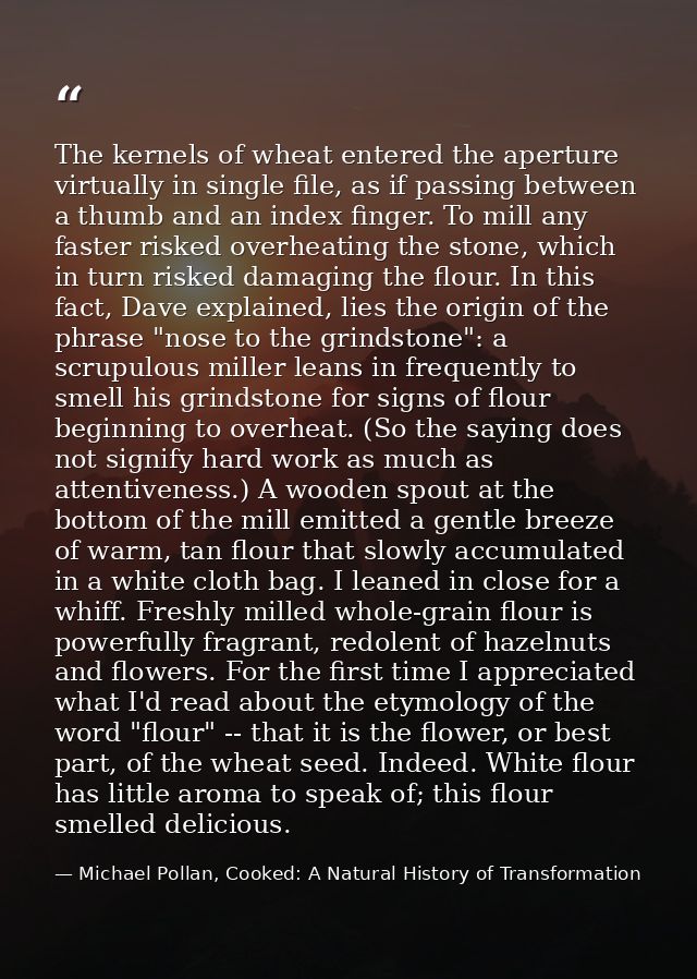 The kernels of wheat entered the aperture virtually in single file, as if passing between a thumb and an index finger. T — Michael Pollan, Cooked: A Natural History of Transformation