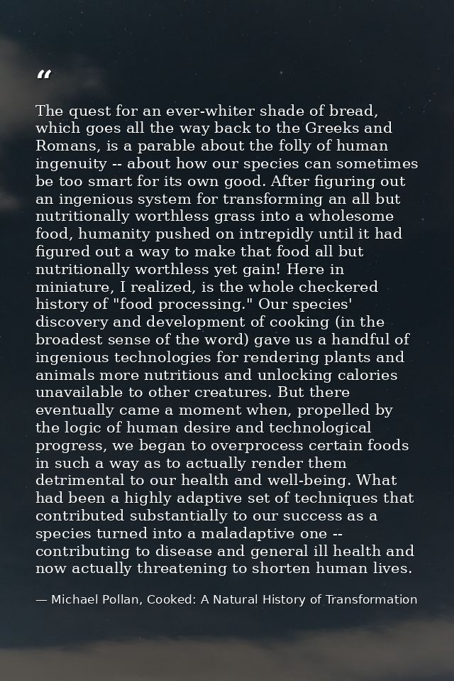 The quest for an ever-whiter shade of bread, which goes all the way back to the Greeks and Romans, is a parable about th — Michael Pollan, Cooked: A Natural History of Transformation