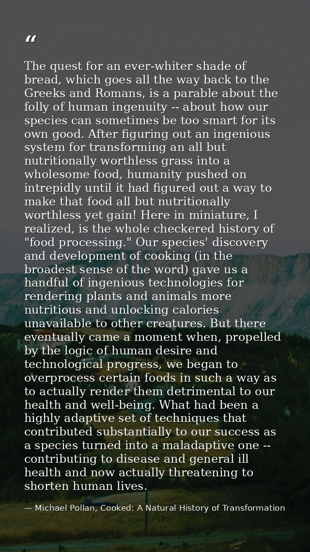 The quest for an ever-whiter shade of bread, which goes all the way back to the Greeks and Romans, is a parable about th — Michael Pollan, Cooked: A Natural History of Transformation
