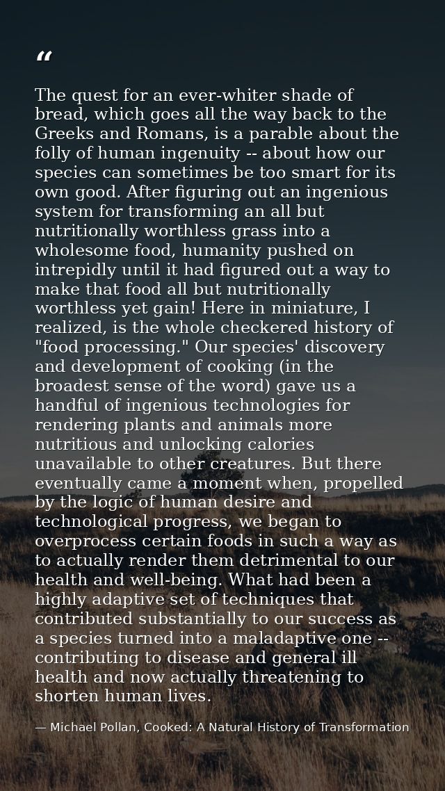 The quest for an ever-whiter shade of bread, which goes all the way back to the Greeks and Romans, is a parable about th — Michael Pollan, Cooked: A Natural History of Transformation